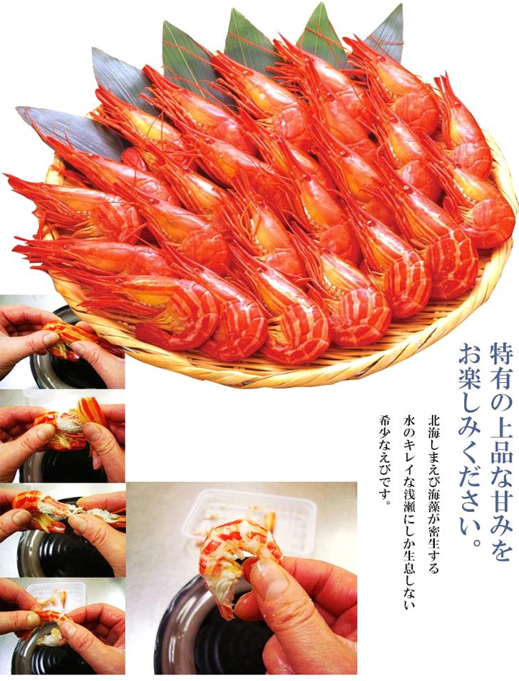 北海しまえび 500g(選べるS・M・Lサイズ)