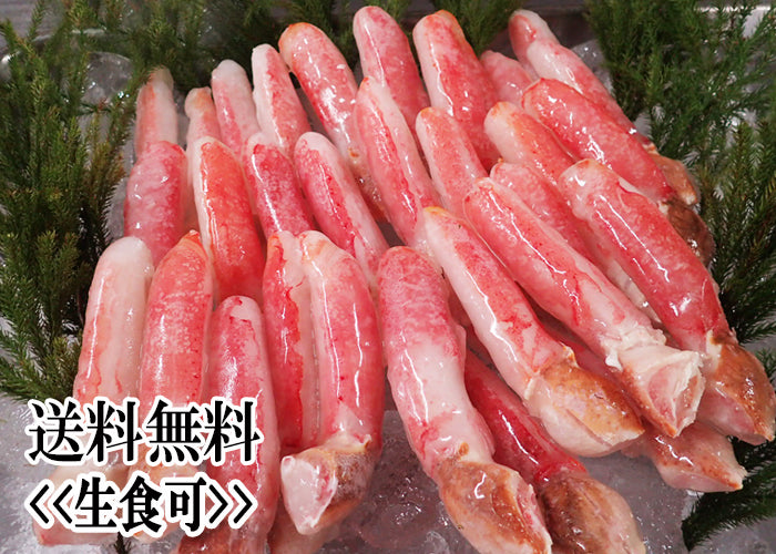 送料無料!《生食可》 ずわいがに爪下 1kg(DM309)