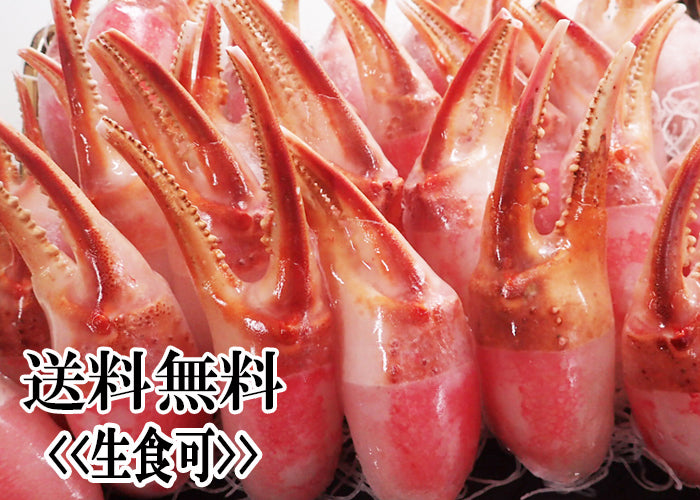 送料無料!《生食可》 ずわいがに爪1kg(DM315)