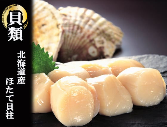 貝類