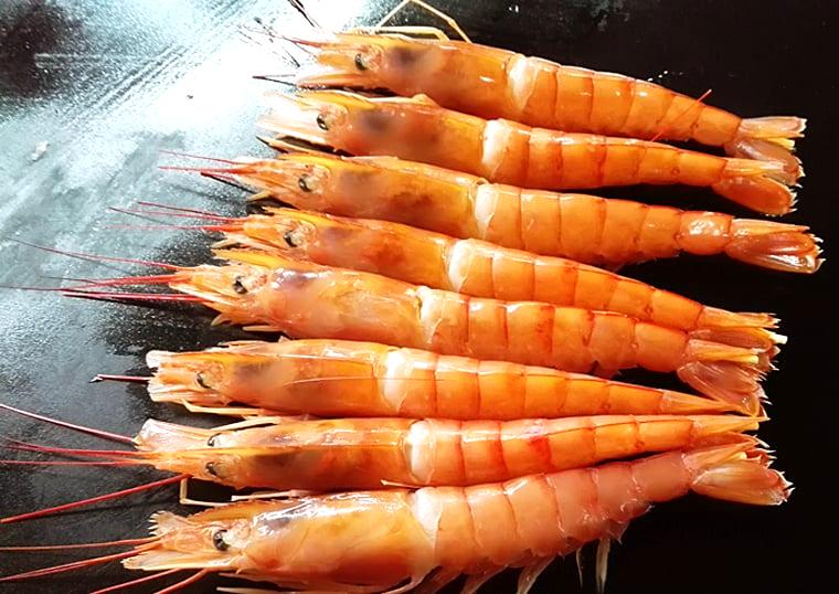お刺身用赤えび(選べる500g・2kg)
